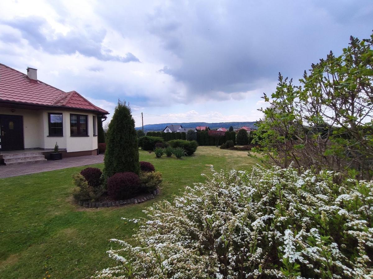 Panorama Strzyzow